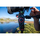 Manfrotto Befree 3-Way Live Head