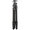 Benro Tortoise Columnless Carbon Fiber Three Series Tripod with GX35 Ball Head