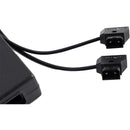 IndiPRO Tools 12V/6A AC Wall Plug to 2 x D-Tap Male Y-Cable Adapter