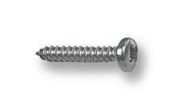 TR Fastenings N40.250 PRSTABZ100- N40.250 PRSTABZ100- Screw No.4 6.35 mm Bright Zinc Steel Pan Head Pozidriv