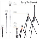 K&F Concept SA254M2 DSLR Camera Aluminum Tripod with Monopod and Ball Head Kit