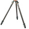 3 Legged Thing Legends Nicky 4-Section Carbon Fiber Hybrid Video/Photo Tripod