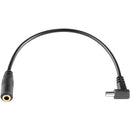 Westcott PC Sync Male to 3.5mm Female Cable