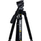 Miller DS10 SOLO-Q 75 2-Stage Tripod (Carbon Fiber)