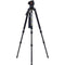 Miller CX14 Fluid Head & Solo-Q 100 2-Stage Carbon Fiber Tripod Kit