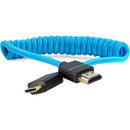 Kondor Blue Coiled Mini-HDMI to HDMI Cable (12 to 24")