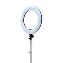 ikan Oryon 18" Ring Light (Version 2) with Phone Mount, Remote, Light Stand