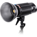 FotodioX Pro Warrior Deluxe Daylight 5600K 2-Light Kit