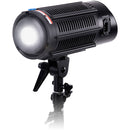 FotodioX Pro Warrior Deluxe Daylight 5600K 2-Light Kit