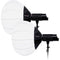 FotodioX Pro Warrior Deluxe Daylight 5600K 2-Light Kit