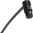 Cable Techniques Low-Profile Right-Angle XLR 3-Pin Female Connector (Large Outlet, B-Shell, Black Cap)