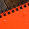 Rite in the Rain All Weather 4 x 6" Notebook (Orange)