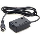 DigitalFoto Solution Limited NP-FW50 Dummy Battery with Female 2.1mm Connector (Straight Cable)