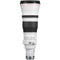 Canon RF 600mm f/4 L IS USM Lens