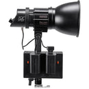 FotodioX Pro PopSpot 50 v.2 Deluxe Daylight LED Focusable Spot Light Kit