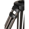 Libec RT20C 2-Stage Lightweight Carbon Fiber Tripod with 75mm Bowl