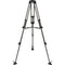 Libec RT20C 2-Stage Lightweight Carbon Fiber Tripod with 75mm Bowl