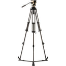 Libec NX-100C Carbon Fiber Tripod System with NH10 Head, Ground Spreader & Carry Case