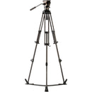 Libec NX-300C Carbon Fiber Tripod System with NH30 Head, Ground Spreader, Long Plate & Case