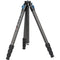 Sirui ST124 Standard Series 4-Section Carbon Fiber Tripod