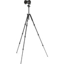 JOBY RangePod Smart Tripod (Black)