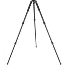 Robus RC-5558-3 Vantage Series 3 Carbon Fiber Tripod