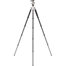 Benro MeFOTO RoadTrip Classic Series 1 Tripod with Monopod and Ball Head Kit (Titanium)