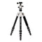 Benro MeFOTO RoadTrip Classic Series 1 Tripod with Monopod and Ball Head Kit (Titanium)