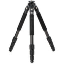 Benro CLT204 2-Series Induro Classic Carbon Fiber Tripod