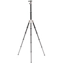 Benro MeFOTO BackPacker Classic Aluminum Travel Tripod with Ball Head (Titanium)