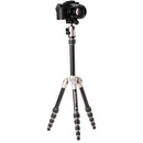 Benro MeFOTO BackPacker Classic Aluminum Travel Tripod with Ball Head (Titanium)