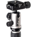 Benro MeFOTO BackPacker Classic Aluminum Travel Tripod with Ball Head (Titanium)