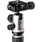 Benro MeFOTO BackPacker Classic Aluminum Travel Tripod with Ball Head (Titanium)