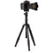 Benro MeFOTO RoadTrip Pro Aluminum Series 1 Travel Tripod with Ball Head and Monopod (Black)