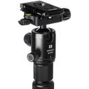 Benro MeFOTO RoadTrip Pro Carbon Fiber Series 1 Travel Tripod with Ball Head and Monopod (Black)