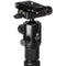 Benro MeFOTO RoadTrip Pro Carbon Fiber Series 1 Travel Tripod with Ball Head and Monopod (Black)