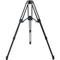 E-Image 2-Stage Carbon Fiber Motus Tripod with 100mm Bowl & Mid-Level Spreader