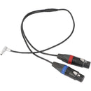 CAMVATE Dual 3-Pin XLR to Right-Angle 5-Pin LEMO Audio Cable for ALEXA Mini (25")