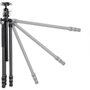 Vanguard VEO3 263CB Carbon Fiber Tripod & VEO BH-160S Ball Head