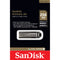 SanDisk 256GB Extreme Go USB 3.2 Drive