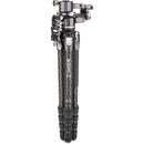 Benro TTOR35C Carbon Fiber Tripod with GH2F Folding Gimbal Head