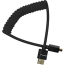 Kondor Blue Coiled Micro-HDMI to&nbsp;HDMI Cable (Black, 12 to 24")