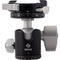 Really Right Stuff BH-30 Ballhead with Compact Lever-Release Panning Clamp