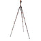 3 Legged Thing Punks Brian 2.0 Carbon Fiber Tripod with AirHed Neo 2.0 Ball Head (Black)