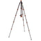 3 Legged Thing Punks Brian 2.0 Carbon Fiber Tripod with AirHed Neo 2.0 Ball Head (Black)