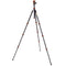 3 Legged Thing Punks Travis 2.0 Magnesium Alloy Tripod with AirHed Neo 2.0 Ball Head (Black)