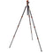 3 Legged Thing Punks Travis 2.0 Magnesium Alloy Tripod with AirHed Neo 2.0 Ball Head (Black)