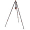 3 Legged Thing Punks Travis 2.0 Magnesium Alloy Tripod with AirHed Neo 2.0 Ball Head (Black)