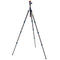 3 Legged Thing Punks Travis 2.0 Magnesium Alloy Tripod with AirHed Neo 2.0 Ball Head (Blue)