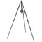 3 Legged Thing Punks Travis 2.0 Magnesium Alloy Tripod with AirHed Neo 2.0 Ball Head (Blue)